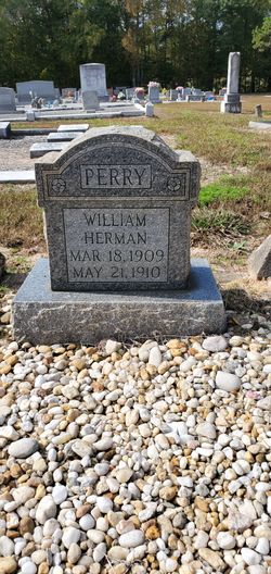  William Herman Perry