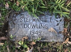  Stephanie Lynn Dowling