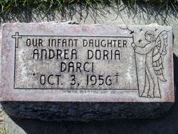  Andrea Doria Darci