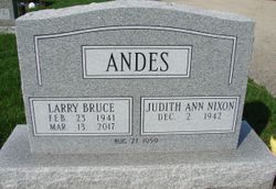 Larry Bruce Andes
