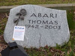  Thomas Abari