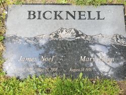  James Noel Bicknell