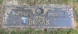  John A. Bosak