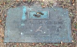  Bruce Allen Collins