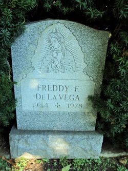  Freddy F. De La Vega
