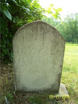  Elizabeth “Lizzie” <I>Hubbard</I> Goforth