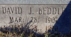  David J Beddle
