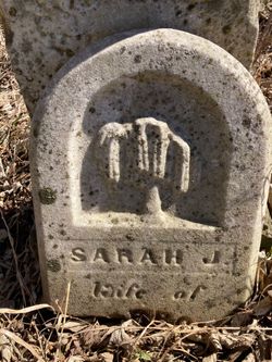  Sarah J Brown
