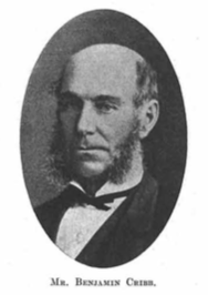 Benjamin Cribb Sr. (1807-1874)