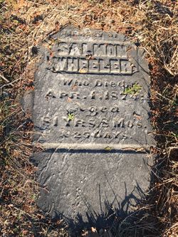  Salmon Wheeler