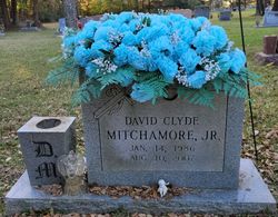  David Clyde Mitchamore Jr.