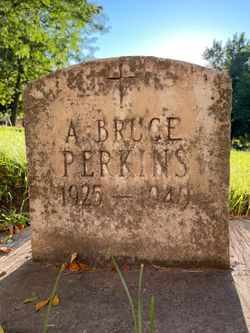  Arthur Bruce Perkins