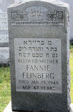 Fannie <I>Lieberman</I> Feinberg